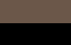 Color Icon